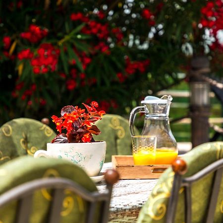 Villa Marco Polo Budva Ngoại thất bức ảnh